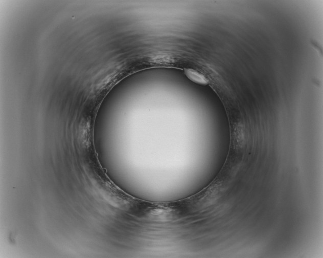 X0000102840364200808251201