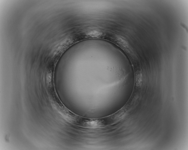 X0000102840365200808251201