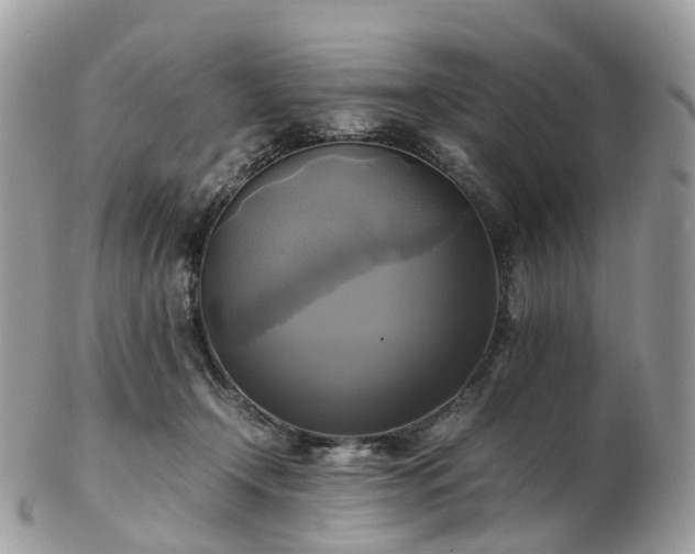 X0000102840366200808251201