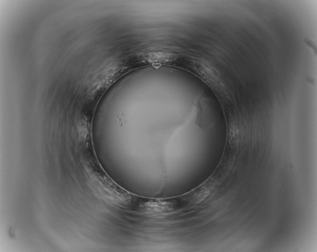 X0000102840367200808251201