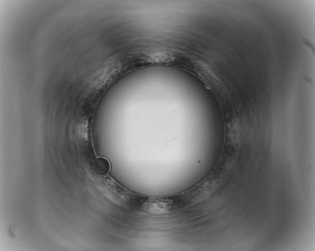 X0000102840368200808251201