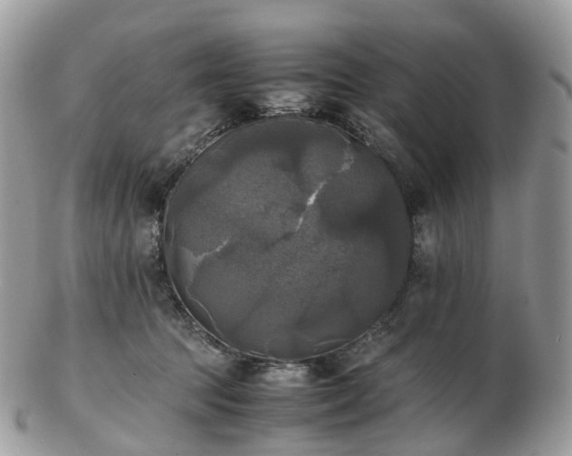 X0000102840369200808251201