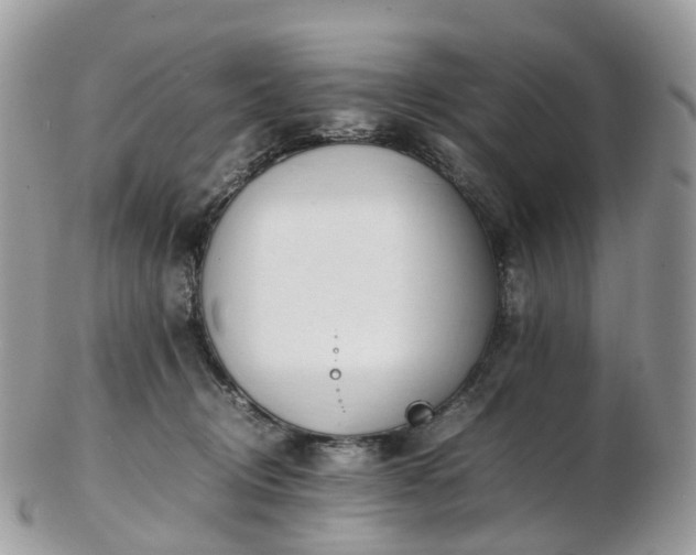 X0000102840370200808251201