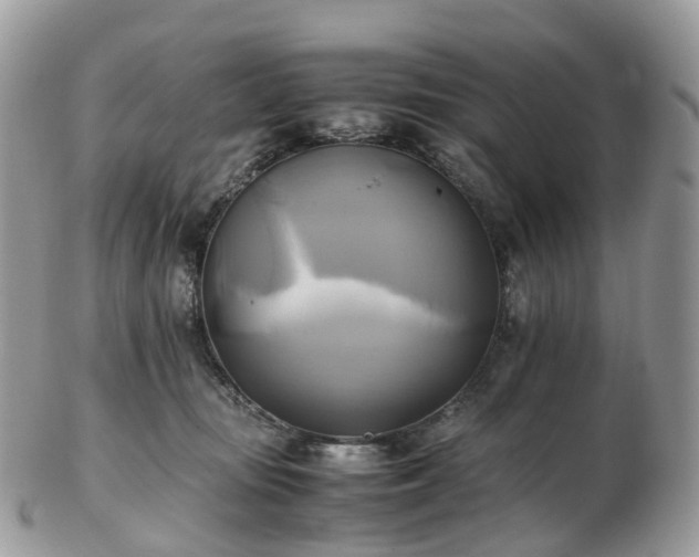 X0000102840371200808251201