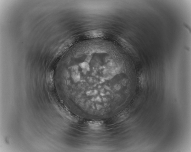 X0000102840373200808251201