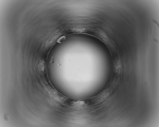 X0000102840374200808251201