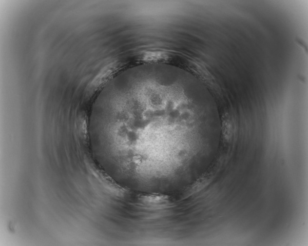 X0000102840375200808251201