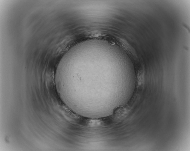 X0000102840376200808251201