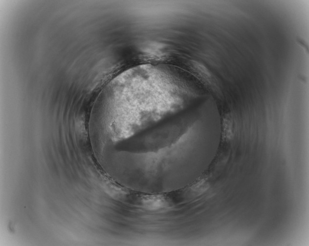 X0000102840377200808251201