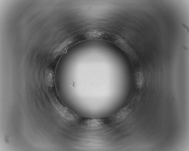 X0000102840378200808251201