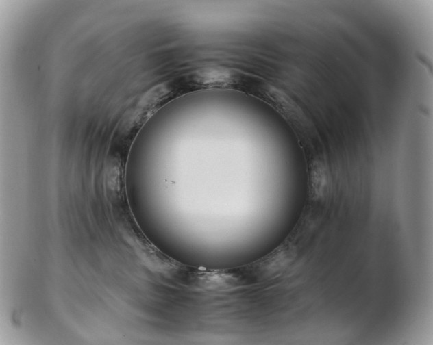 X0000102840379200808251201