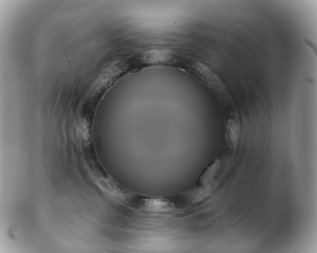 X0000102840380200808251201