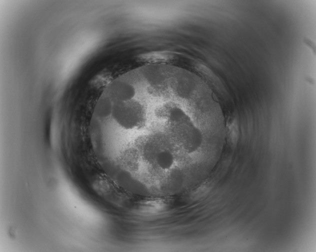 X0000102840381200808251201