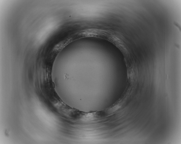 X0000102840382200808251201