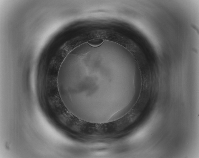 X0000102840383200808251201