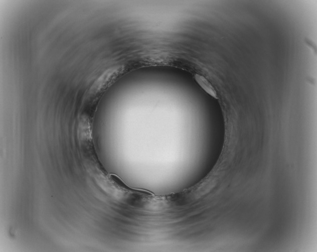 X0000102840384200808251201