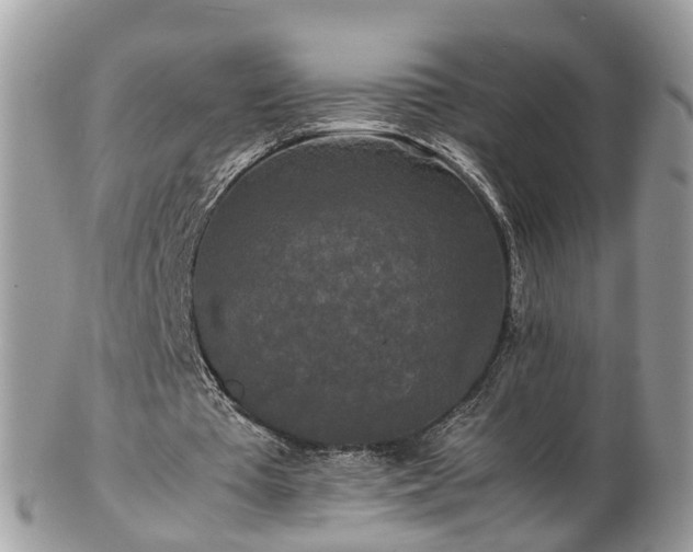 X0000102840385200808251201