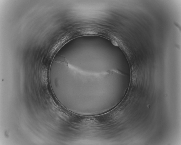 X0000102840386200808251201