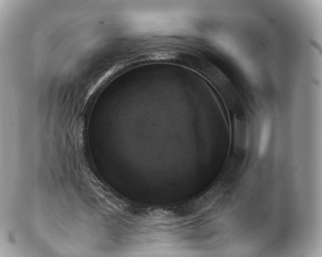 X0000102840387200808251201