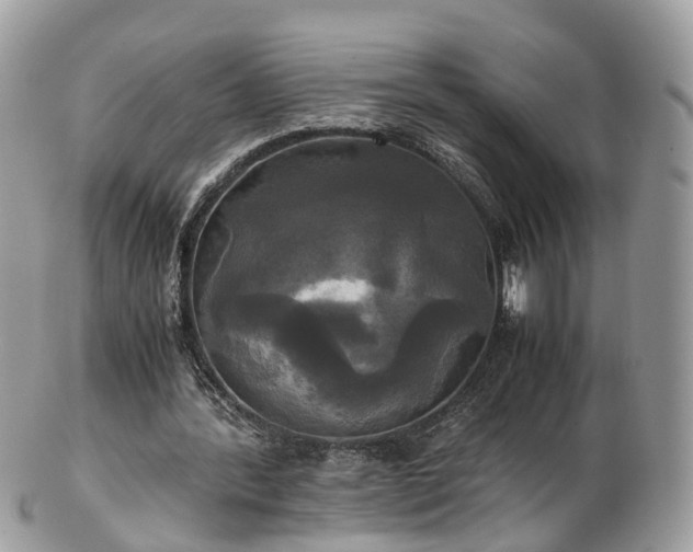 X0000102840388200808251201