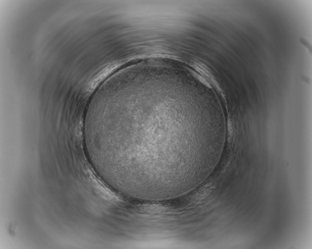 X0000102840389200808251201