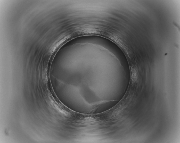 X0000102840390200808251201