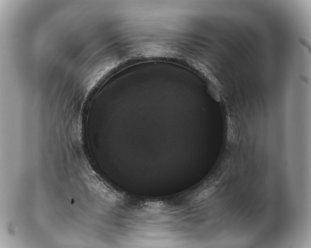 X0000102840391200808251201