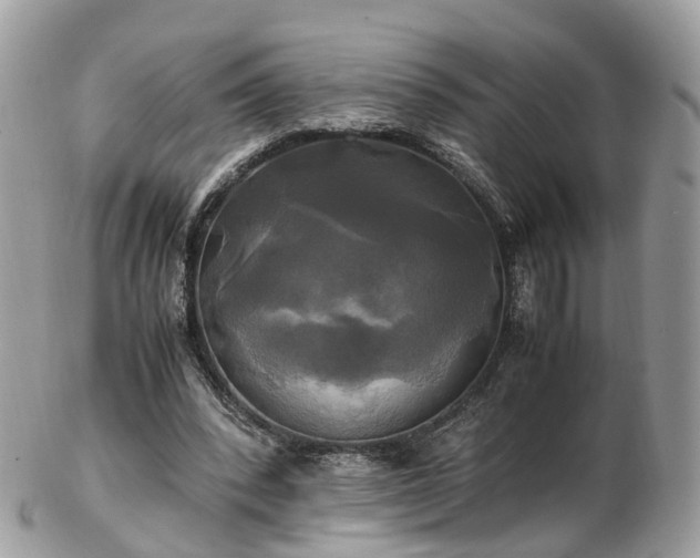 X0000102840392200808251200