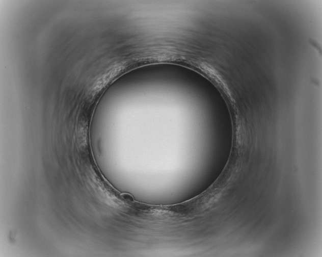 X0000102840393200808251200