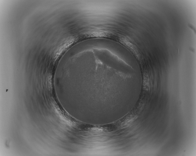 X0000102840394200808251200