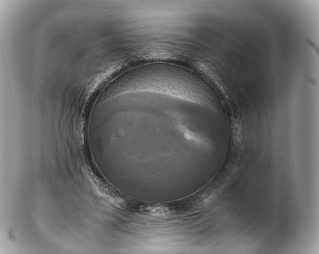 X0000102840395200808251200