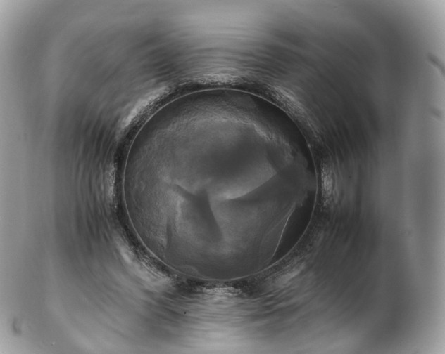 X0000102840396200808251200