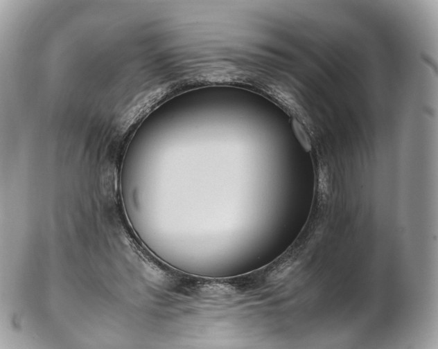 X0000102840397200808251200