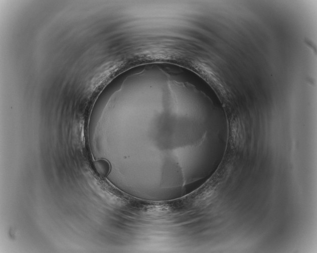 X0000102840398200808251200