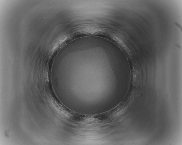 X0000102840399200808251200