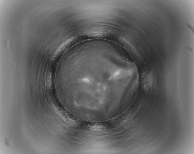 X0000102840400200808251200