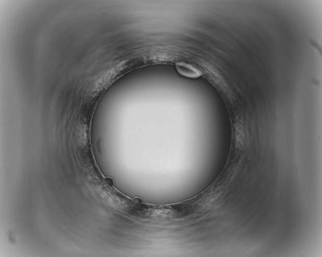 X0000102840401200808251200