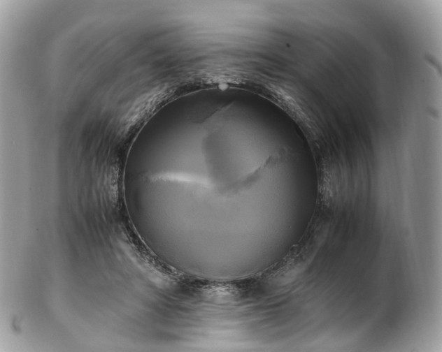 X0000102840402200808251200