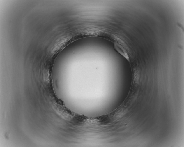 X0000102840403200808251200