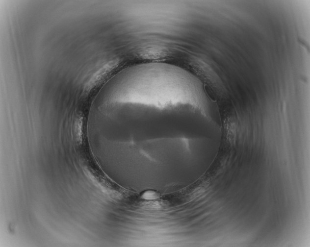 X0000102840404200808251200