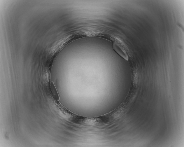 X0000102840405200808251200