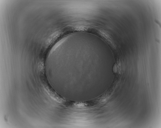 X0000102840407200808251200