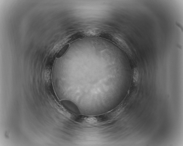 X0000102840409200808251200