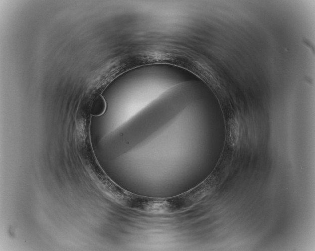 X0000102840410200808251200