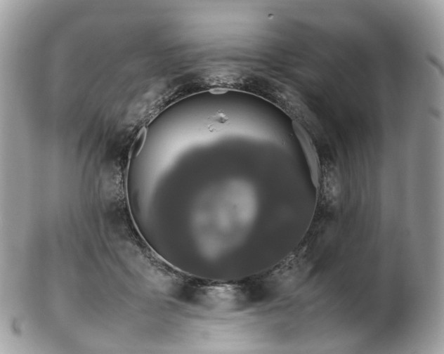 X0000102840411200808251200