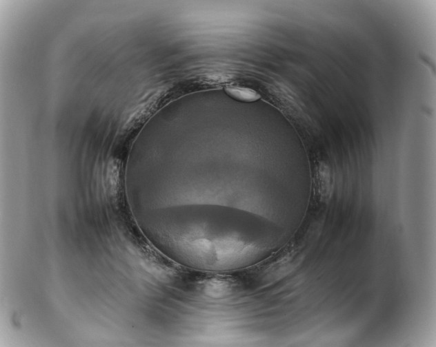 X0000102840412200808251200