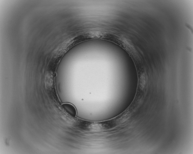 X0000102840413200808251200