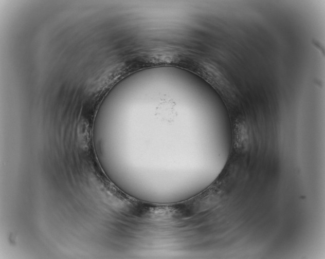 X0000102840414200808251200