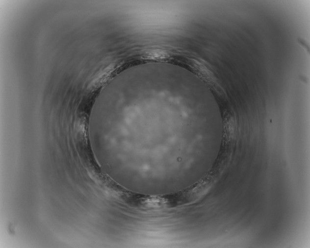 X0000102840415200808251200