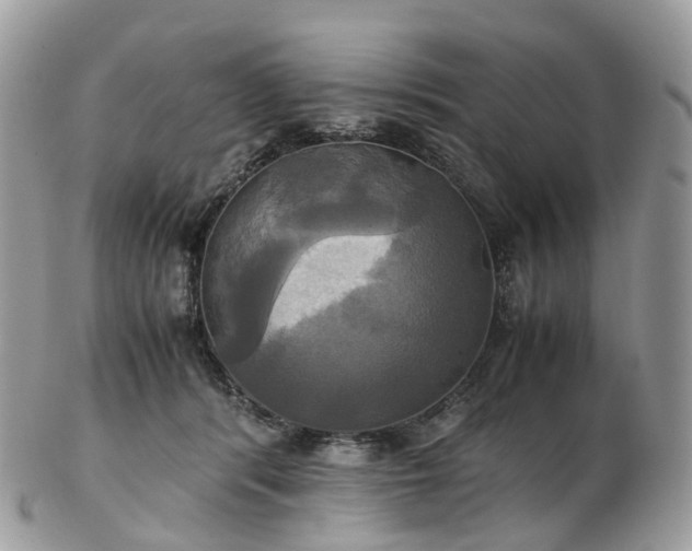 X0000102840416200808251200